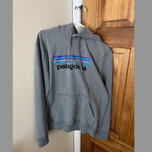 Grey Patagonia Hoodie